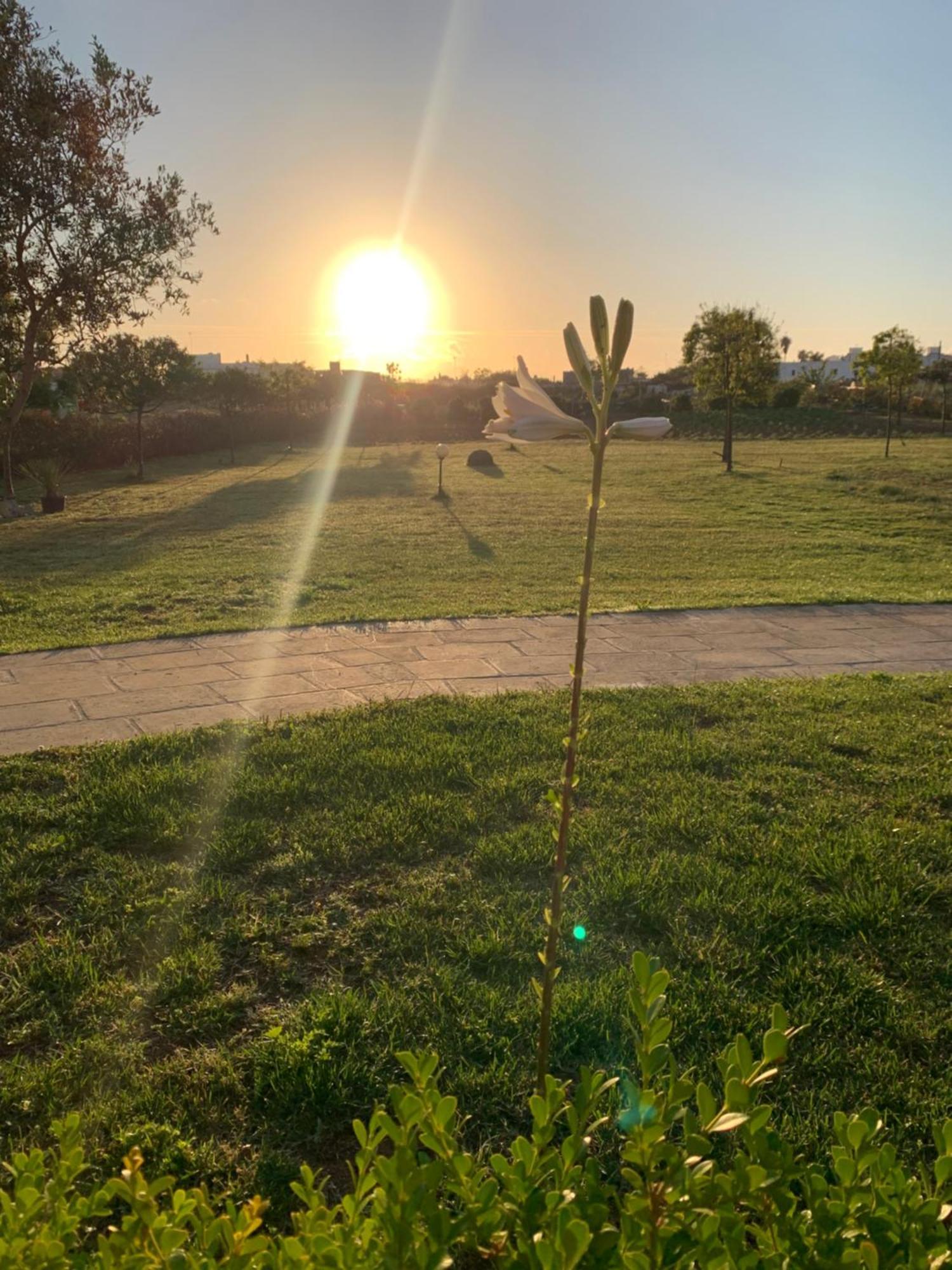 Masseria Capece Bed & Breakfast أودجانو لا كييزا المظهر الخارجي الصورة
