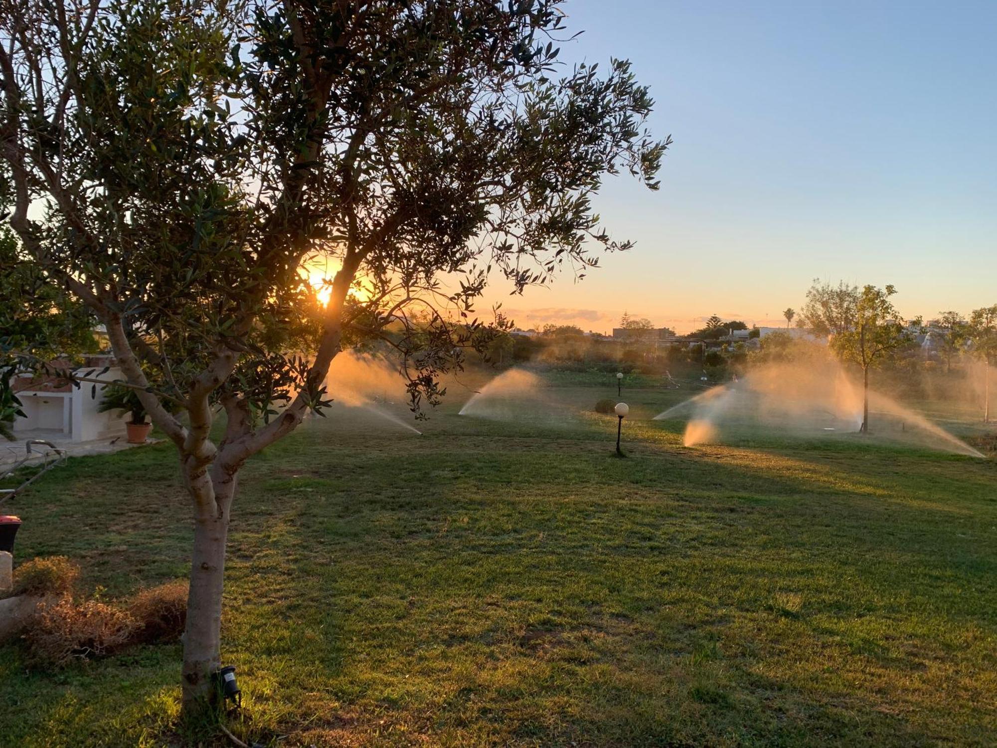 Masseria Capece Bed & Breakfast أودجانو لا كييزا المظهر الخارجي الصورة